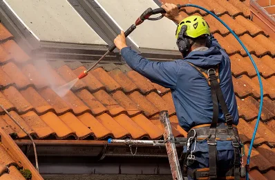 Démoussage et hydrofuge de toiture à Sarlabous